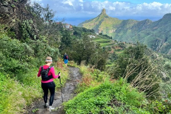 66d50561-4943-401f-832f-c6d5d6ba6662