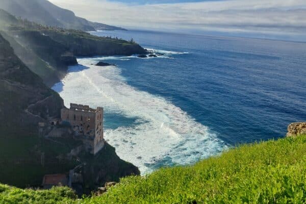 784372eb-f748-4b11-9350-c3e75528f038