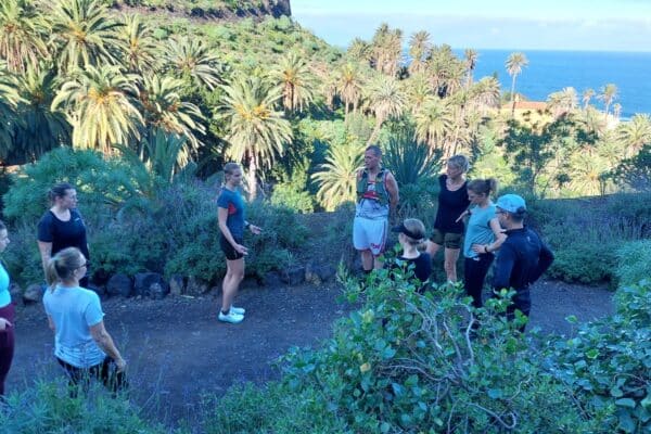 b3f52be3-8ae2-40cb-b698-14bbecfe79bb