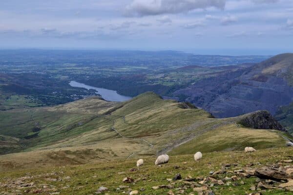 7a66899b-eeaf-4ecd-b117-2dd8862eee81